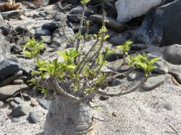 282194_10150265621114901_5710835_n